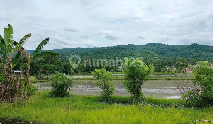 Di Jual Lahan Kecil View Cantik Dekat ke Kota dan Pantai