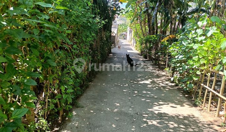 For Sale 4,8 Are Land Alre Wall Around Good For Private House 