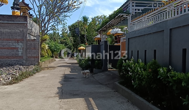 For Sale 2 Unit House In 400 M2 Land Close To Central Lovina For Sale 2 Unit House In 400 M2 Land Close To Central Lovina