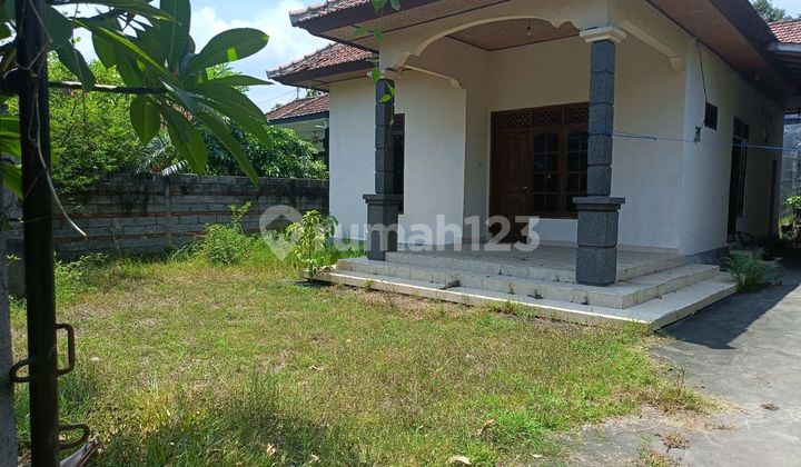 For Sale Local House Possible Renovation Just 400 Meters From Pepito 2