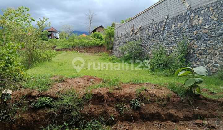 For Sale 29 Are Land in Anturan Suitable for Villas or Housing For Sale 29 Are Land in Anturan Suitable for Villas or Housing