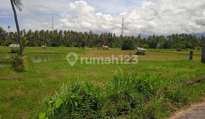 For Sale, Land Ready to Build, Ideal for Investment and Villa with Beautiful View in Lovina, Bali