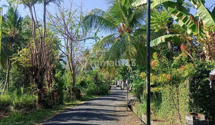 For Sale Good Acces Road  Aspal Land And Fantastic Views In Aling" Waterfall In sambangan 1