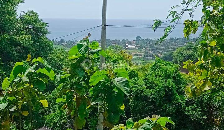 For Sale Flat Land With Ocean View In Lovina Area 1