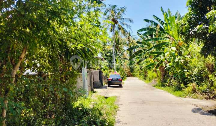 For Sale Land Flat Land 50 Are Close To Harbor Celuk Bawang