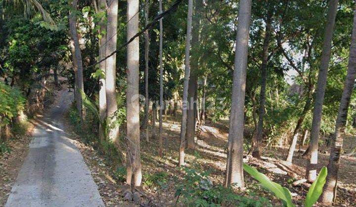 For Sale 5 Are Land With Jungle View Just 5 Minute Drive To The Beach  2