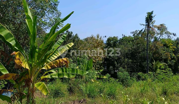 For Sale 25 Are Land With Fantastic View