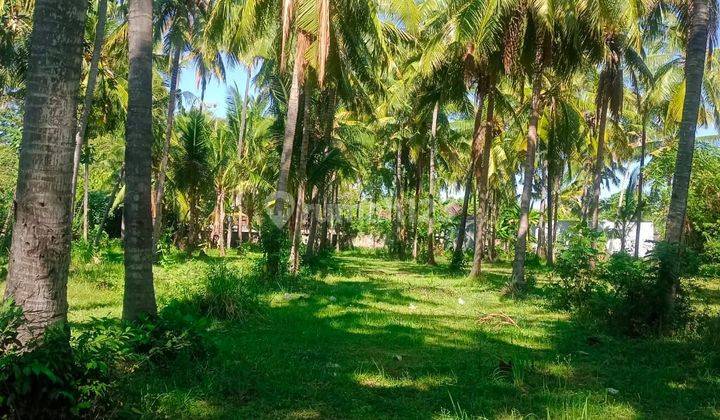 For Sale Land Close To Pepito And Beach Club In Lovina  2