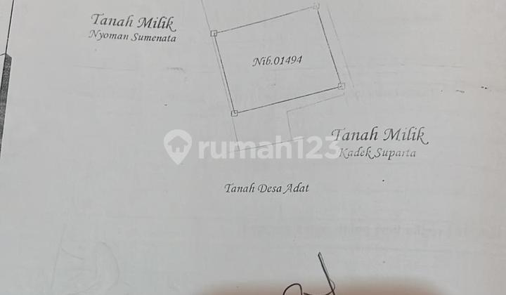 Premium Freehold Land Close To Central Lovina Area Villas