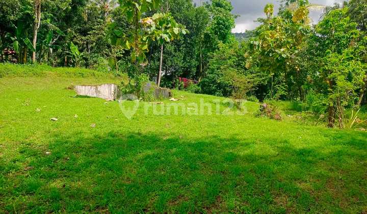 For Sale Flat Land With Ocean View In Lovina Area 2