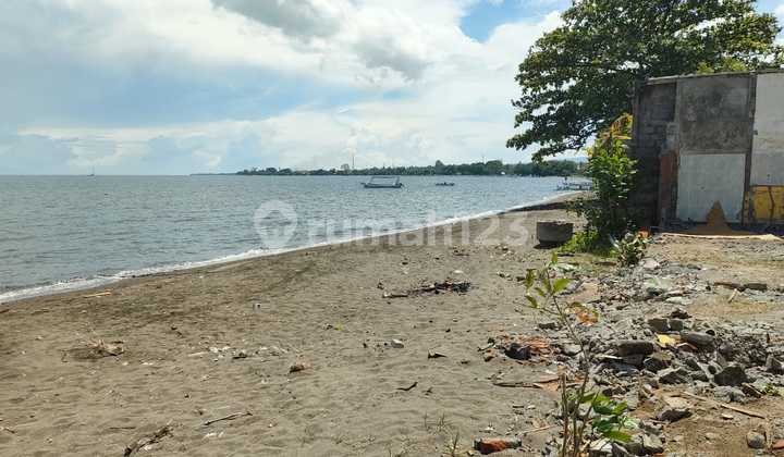 For Sale Beachfront Land Near Central Lovina For Sale Beachfront Land Near Central Lovina