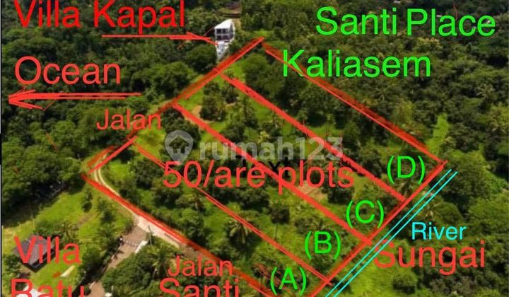 For Sale Land In Kaliasem Lovina With Ocean View