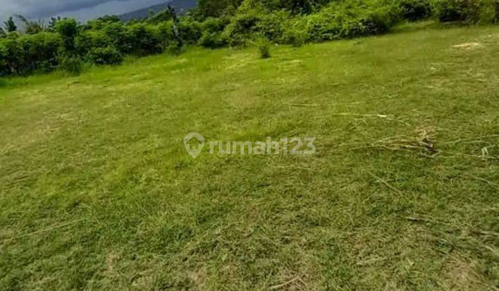 For Sale Land Close To The Beach In Lovina Area 2