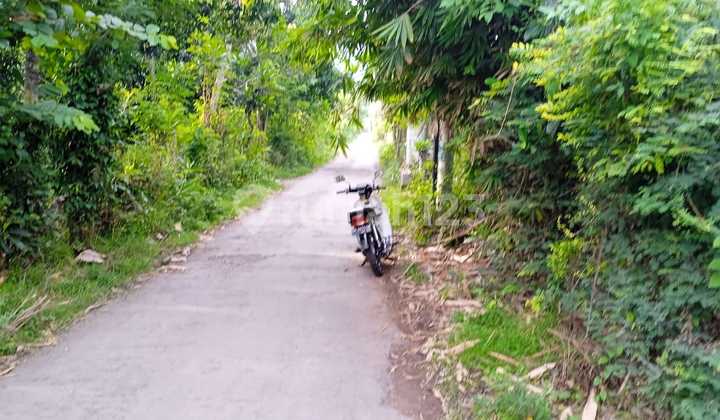 For Sale 1 Hektar Land Close To Pemutaran City In Bali