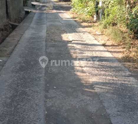 For Sale 10 Ares of Vacant Land in Pemutaran with Mountain View For Sale 10 Ares of Vacant Land in Pemutaran with Mountain View