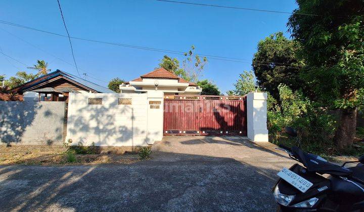 For Sale Semi Villa Close To Central Lovina Good Acces Road  2