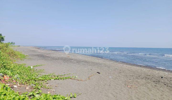 For Sale 7 Are Land And Building Beach Front In Lovina Area 2