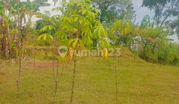 For Sale Good Land With Fantastic View To The Ocean N Ricefild