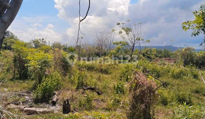 For Sale Land 9 Are Area Seririt Just 400 Meters From Beach For Sale Land 9 Are Area Seririt Just 400 Meters From Beach