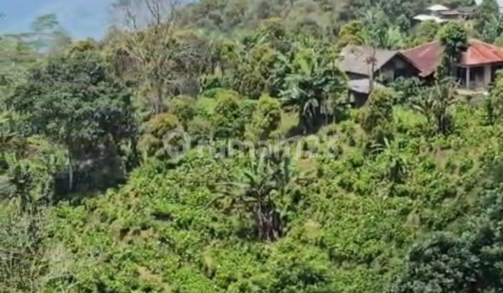 For Sale 70 Are Land In Wanagiri With Beautiful View For Sale 70 Are Land In Wanagiri With Beautiful View