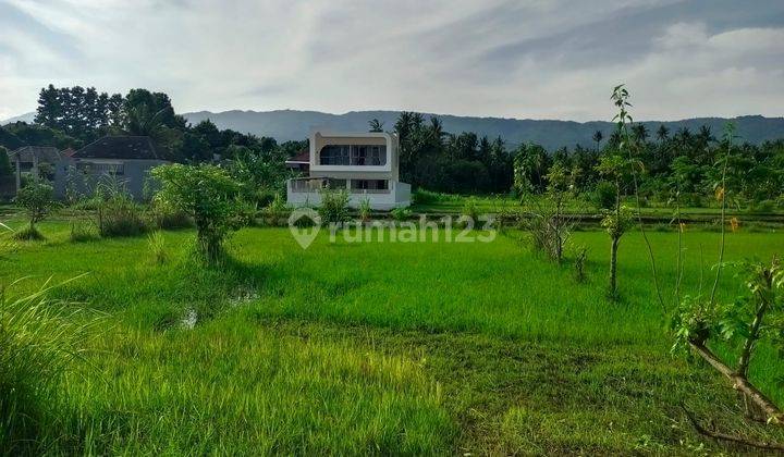 For Sale 400 M2 Land With Ricefild View And Mountain In Area Villas 1
