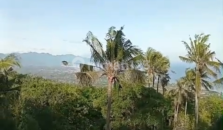 For Sale Land With Fantastic View To The Ocean On Aspal Road