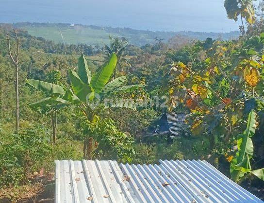For Sale Premium Land Good For Invest Or Building With Fantastic View Just 25 Juta/100 M2 Super Cheap