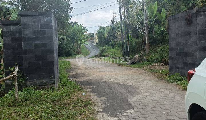 Di jual kebun durian Kani 35 batang bisa bangun villa view gunung dan sawah  1