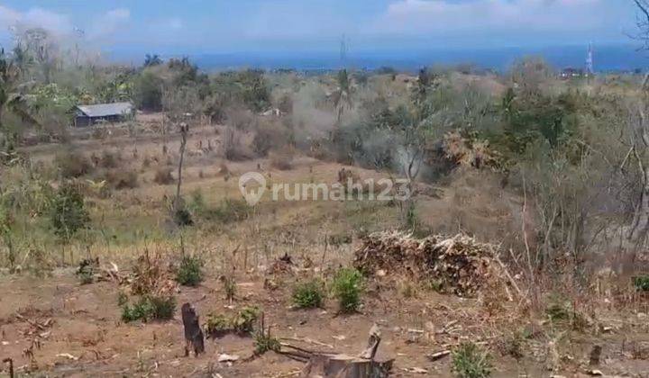 For Sale Land With Ocean View Super Cheap In Lovina Area 2