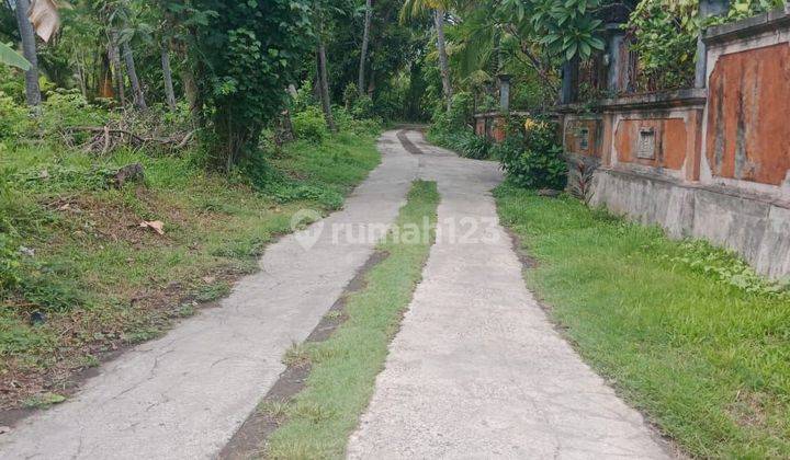 For Sale 5 Are Land Close To Central Lovina  1