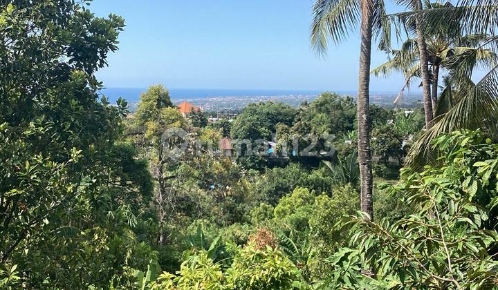 For Sale My Fantastic Ocean View Land And House On Asphalt 2