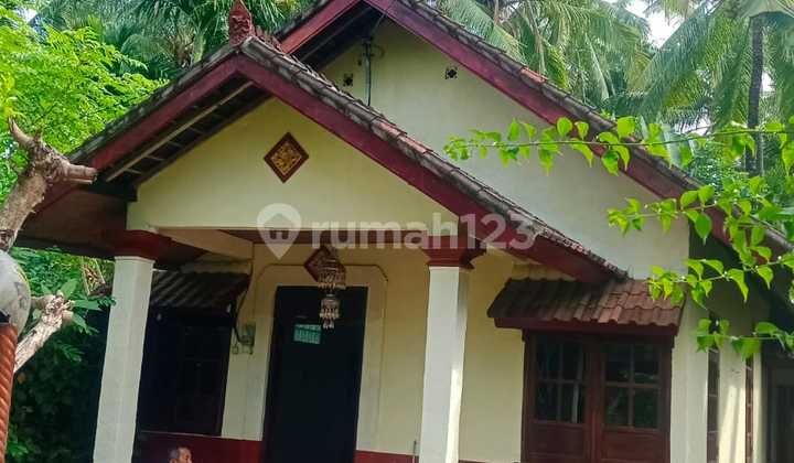 For Sale Local House In Lovina Central 2