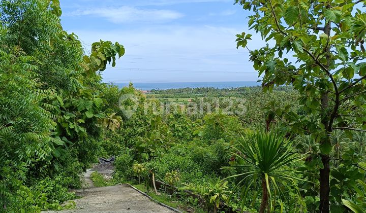 Unblock Ocean View Super Premium Global Just 650 Juta Direct Owner In Bali Unblock Ocean View Super Premium Global Just 650 Juta Direct Owner In Bali