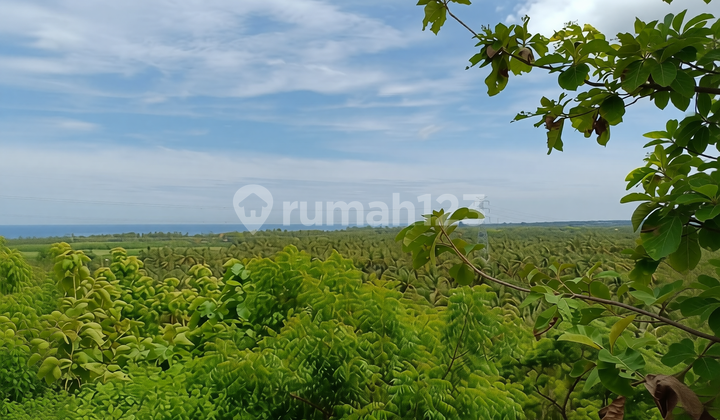 Unblock Ocean View Super Premium Global Just 650 Juta Direct Owner In Bali Unblock Ocean View Super Premium Global Just 650 Juta Direct Owner In Bali