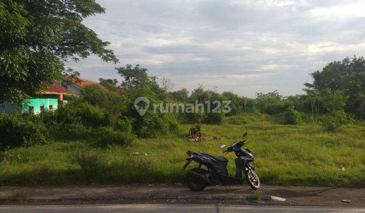 Tanah Strategis Cocok Untuk Usaha Di Pantura Cirebon 2