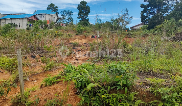 Jual Cepat Harga Murah Tanah Kavling Siap Bangun 3