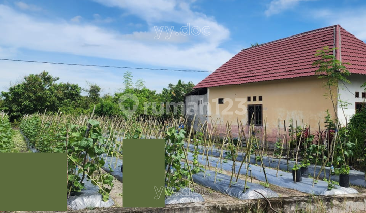 Dijual Tanah Luas Harga Terjangkau di Penajam