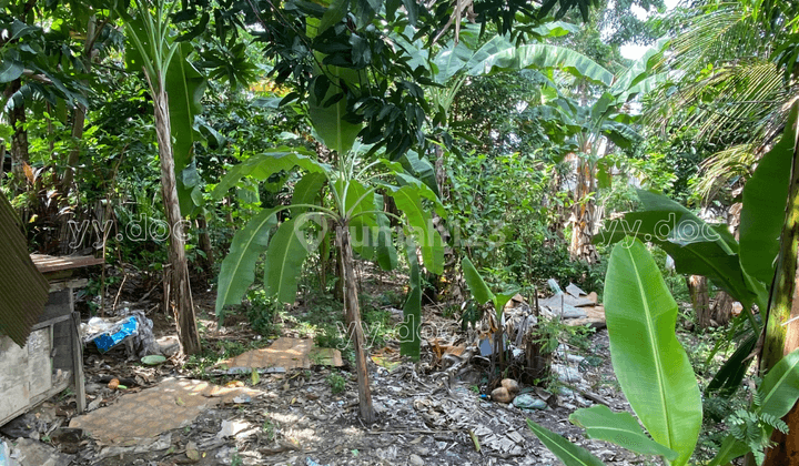 Tanah Luas 2 Menit Smpn 23 Balikpapan 1