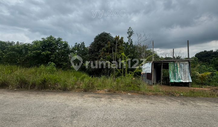 Tanah SHM Lokasi Strategis Km 8, Akses Jalan Beton Area Berkembang & Prospektif