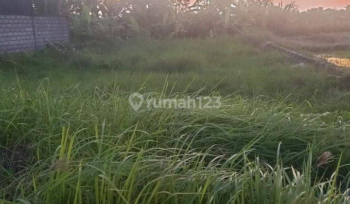 TANAH HAK MILIK DEKAT PANTAI DI SANUR VIEW SAWAH  3