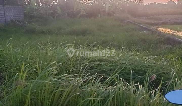 TANAH HAK MILIK DEKAT PANTAI DI SANUR VIEW SAWAH  7