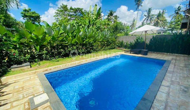 Villa Modern Tropical View Sawah With Pool Di Ubud 1