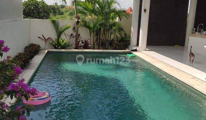 Villa Modern Tropical Semi Furnished With Pool Area Canggu Bali  1