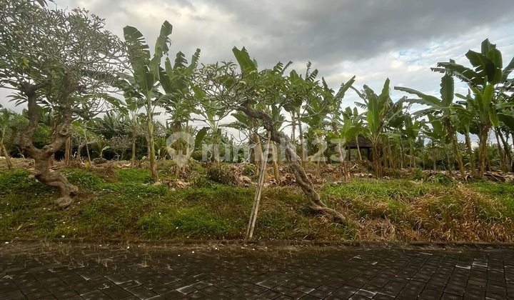 Premium Ocean View Land Plot Near Sanur & Ubud