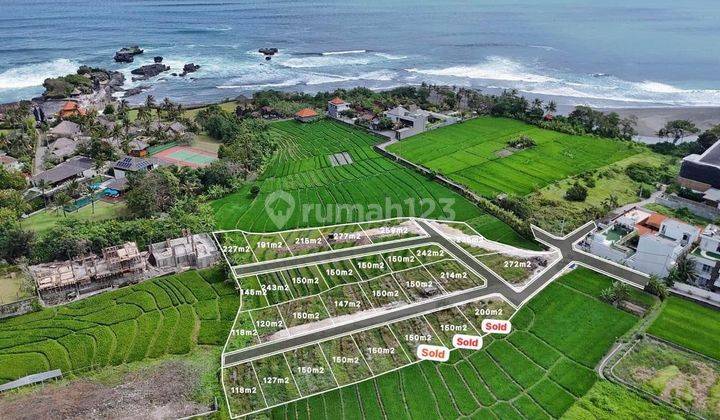 Premium Land Ready to Build Walking Path to the Beach