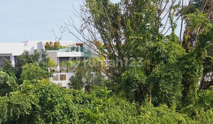 Premium Land Yellow Zone One Step to Canggu Beach Premium Land Yellow Zone One Step to Canggu Beach