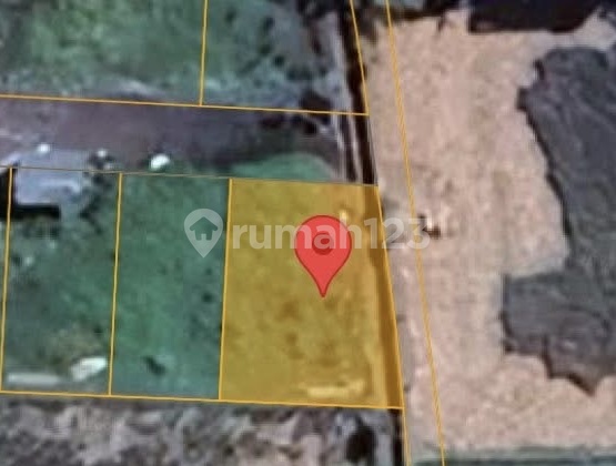 Yellow Zone Land Rice Field View Near Sanur and Renon Yellow Zone Land Rice Field View Near Sanur and Renon