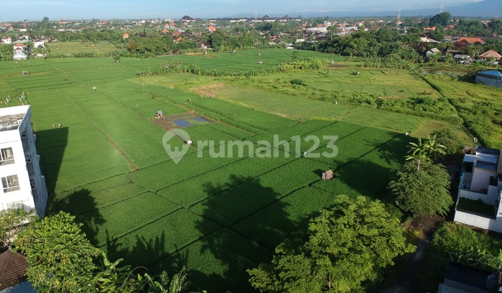 RUMAH INDENT 2 LANTAI SEMPIDI UBUNG KAJA DENPASAR 10