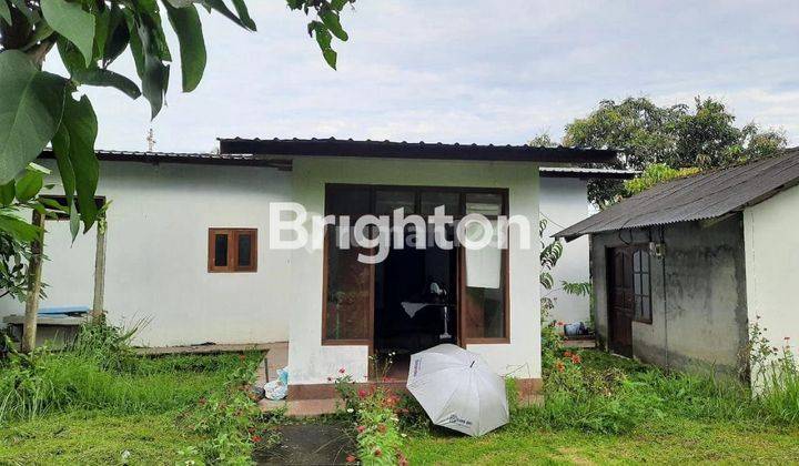 Bungalow Hitung Tanah Saja di Penebel Tabanan 1