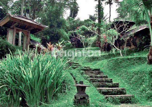 2 STORY HOUSE IN YEH PANES PENEBEL TABANAN 2